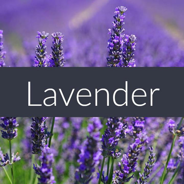 Finesse Home — PURE Essential Oils