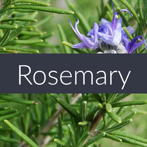 Finesse Home — PURE Essential Oils