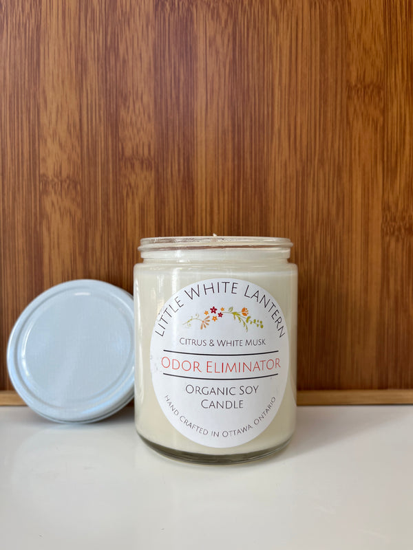 Odor Eliminator - Citrus & White Musk - LWL