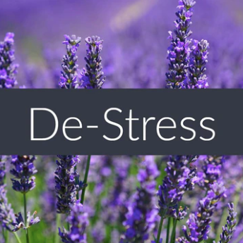 Finesse Home — Essential Oils BLENDS 10ml