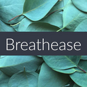 Finesse Home — Essential Oils BLENDS 10ml