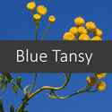 Finesse Home — PURE Essential Oils