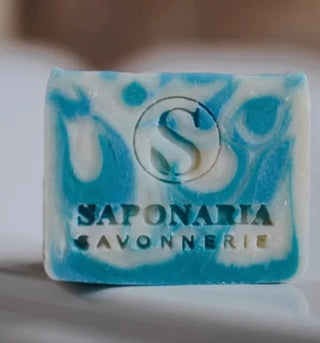 Saponaria - Pacific Soap