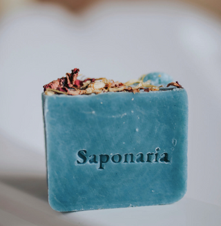 Saponaria - Blossom