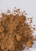 ELATE Beauty — Unify Bronze Powder - Medium