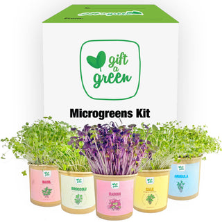 giftagreen - Gift Box - All Occasion