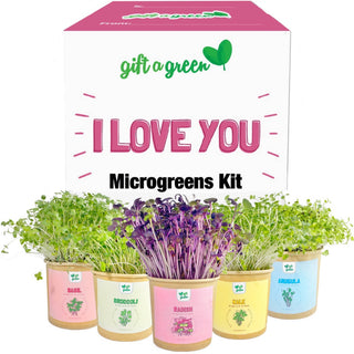 giftagreen - Gift Box - I Love You