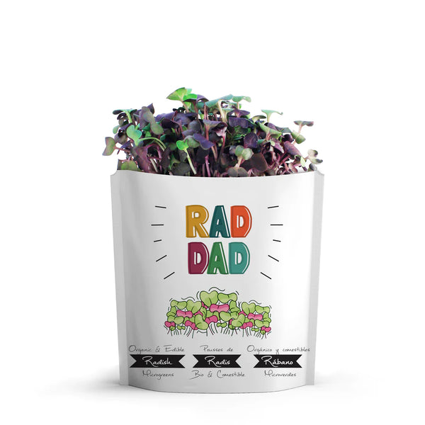 Gift a Green - RAD DAD - Kale Microgreens