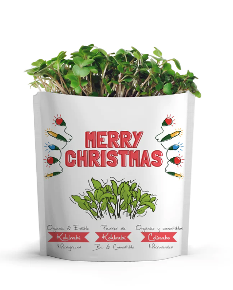 Gift a Green – Merry Christmas - Kohlrabi Microgreens