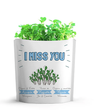 Gift a Green – I Miss You - Arugula Microgreens