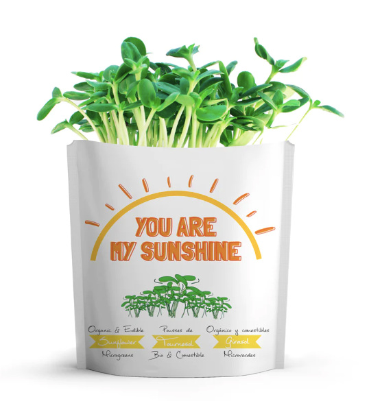 Gift a Green - You Are My Sunshine - Sunflower Microgreens