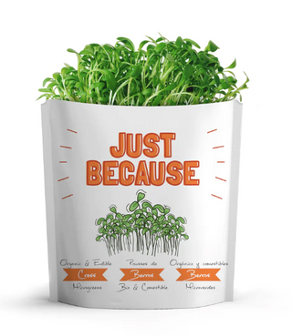 Gift a Green - Just Because - Cress Microgreens