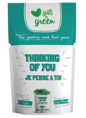Gift a Green - Thinking of You - Kale Microgreens