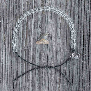 4Ocean — Shark Beaded Bracelet