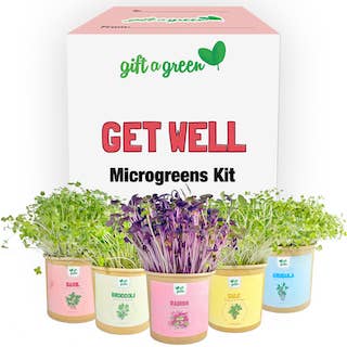 giftagreen - Gift Box - Get Well