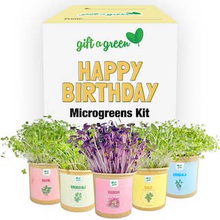 giftagreen - Gift Box - Happy Birthday