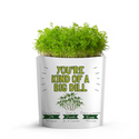 Gift a Green –You're Kind of a BIG Dill Card - Dill Microgreens